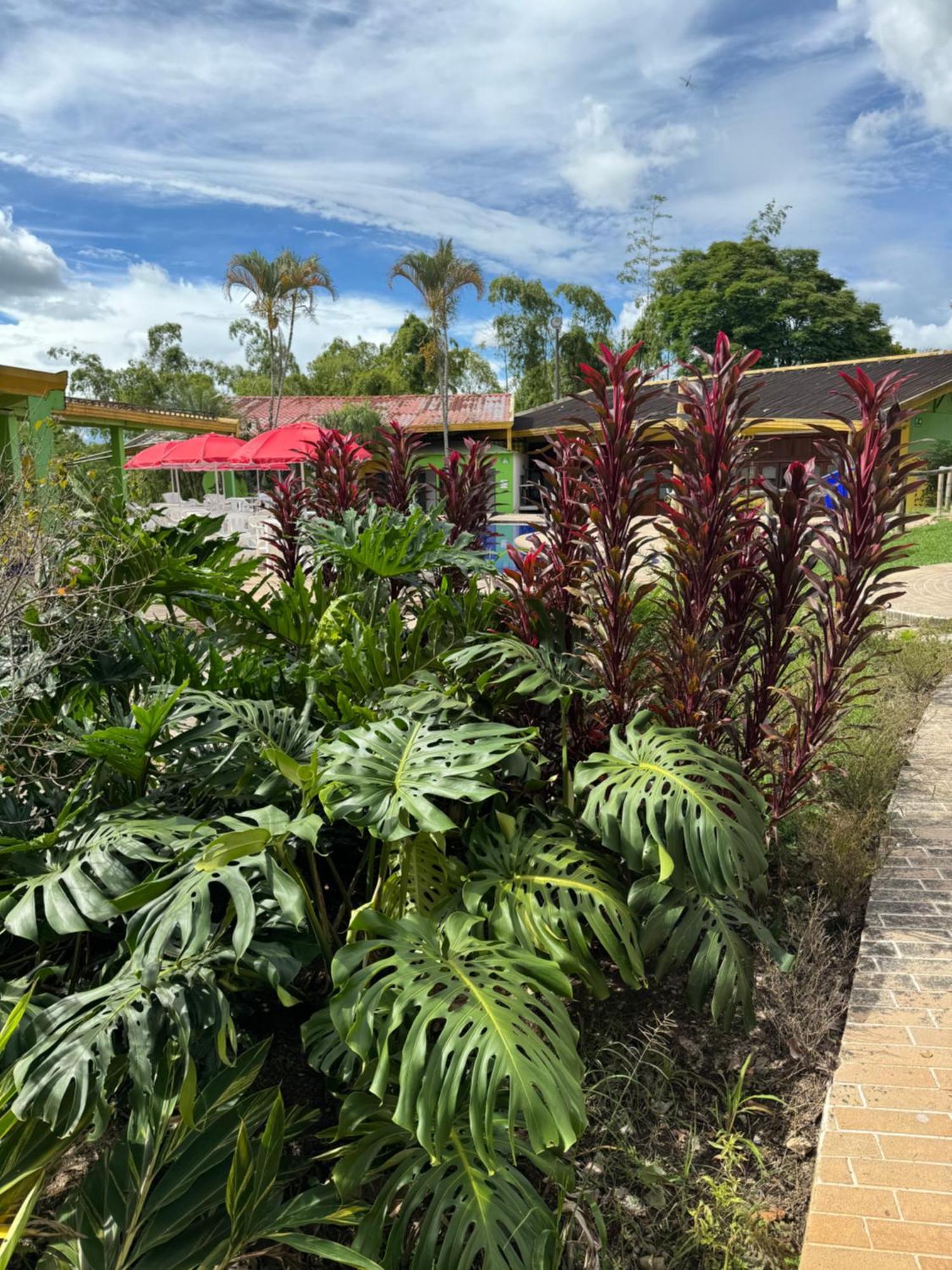 Hotel Ecohotel La Casona Pereira 3*