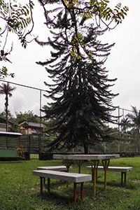 Hotel Ecohotel La Casona